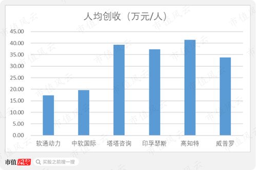 軟通動(dòng)力 私有化后的曲折上市路，軟件外包巨頭能否借注冊(cè)制圓夢(mèng)？